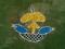 Rangoli for beginners