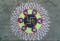 Rangoli