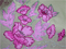 Applique work