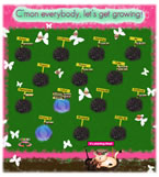 The Veggie Patch!
