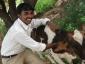 sanabi's picture