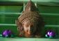 suganthimohan's picture
