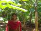 nithi1's picture