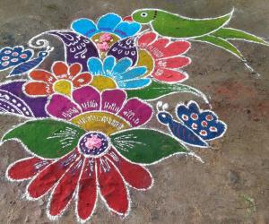 Parrot Rangolis Www Ikolam Com