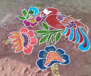 Parrot Rangolis Www Ikolam Com