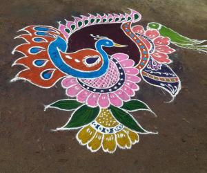 Parrot Rangolis Www Ikolam Com