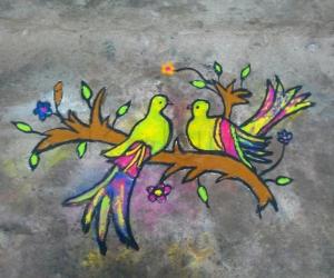 Parrot Rangolis Www Ikolam Com