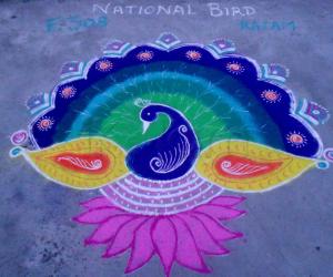 Rangoli: Proud Peacock Rangoli: Proud Peacock