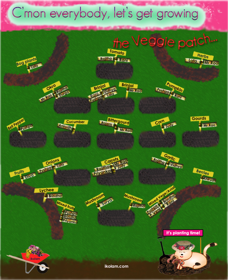 The veggie patch