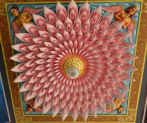Rangoli: LOTUS RANGOLI AT THE ROOF TOP.