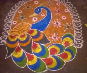 colourful peacock
