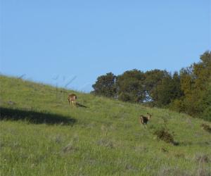Hiking - pictures