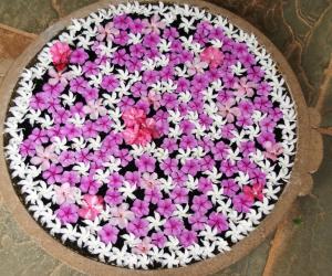 Flower arrangement 