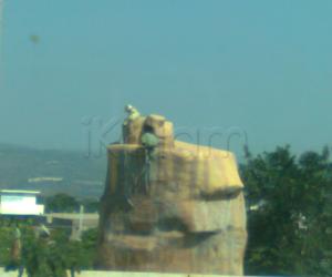 photos