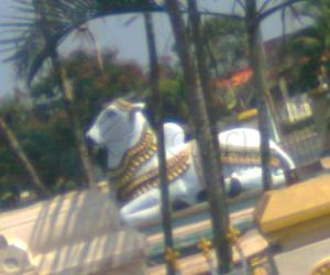 photos