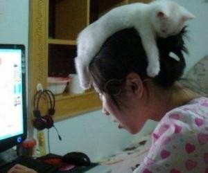 Cat sleeping on head
