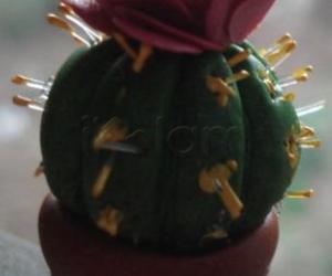 miniature cold porcelain cactus