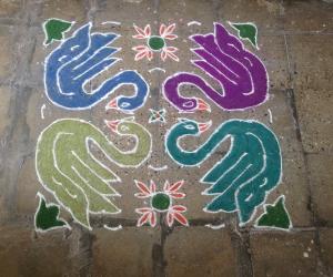 Rangoli Photos on Sankranthi
