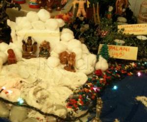 Navarathri Ireland 2011(4)