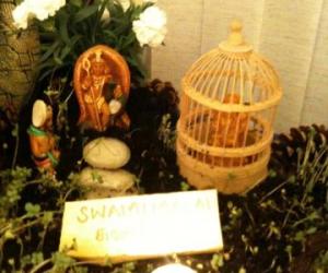 Navarathri Ireland 2011(4)