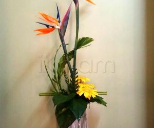 Flower arrangements