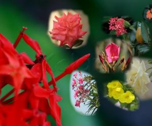Spring 2012 images