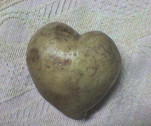 Heart-shaped potato