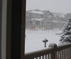 Snowing!!!!!
