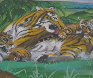 tiger
