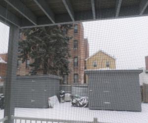 SNOW FALLING...