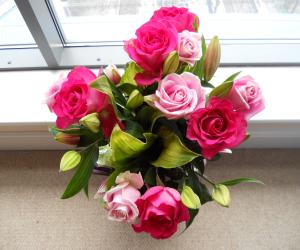 Roses