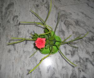 Natural flowervase.