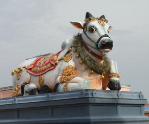 Nandhi-Bull
