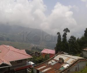 dd kodaikanal flowers 4