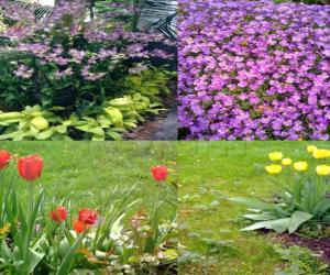 Spring Collection