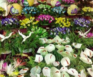 spring !