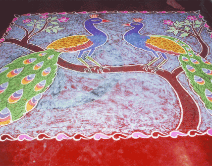 Peacock Rangoli- What do you think one peacok said to the other ?