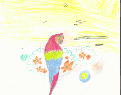 Rangoli: My macaw