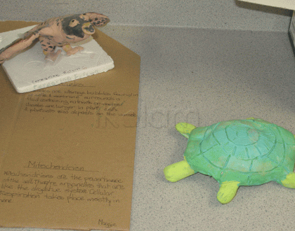 Rangoli: Turtle for a school project