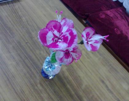 Rangoli: My first stocking flowers