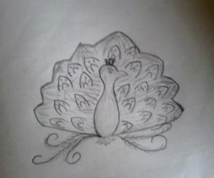 Rangoli: Rangoli Peacock