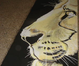 Rangoli - Lion