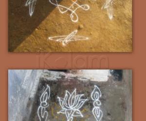 Rangoli: lotus