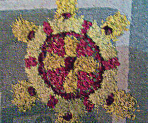 Rangoli: Poo Kolam