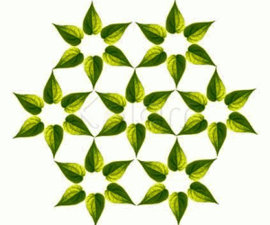 Rangoli: Beetle leaves Rangoli