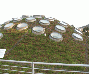 Living roof (of CAS)