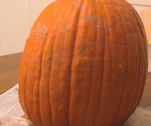 Rangoli: Pumpkin for  carving