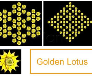 Rangoli: Golden Lotus