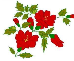 Rangoli: Hibiscus