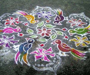 Parrots Kolam